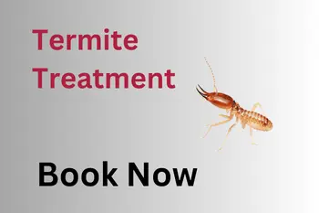 Bed Bug & Termite Pest Control Services